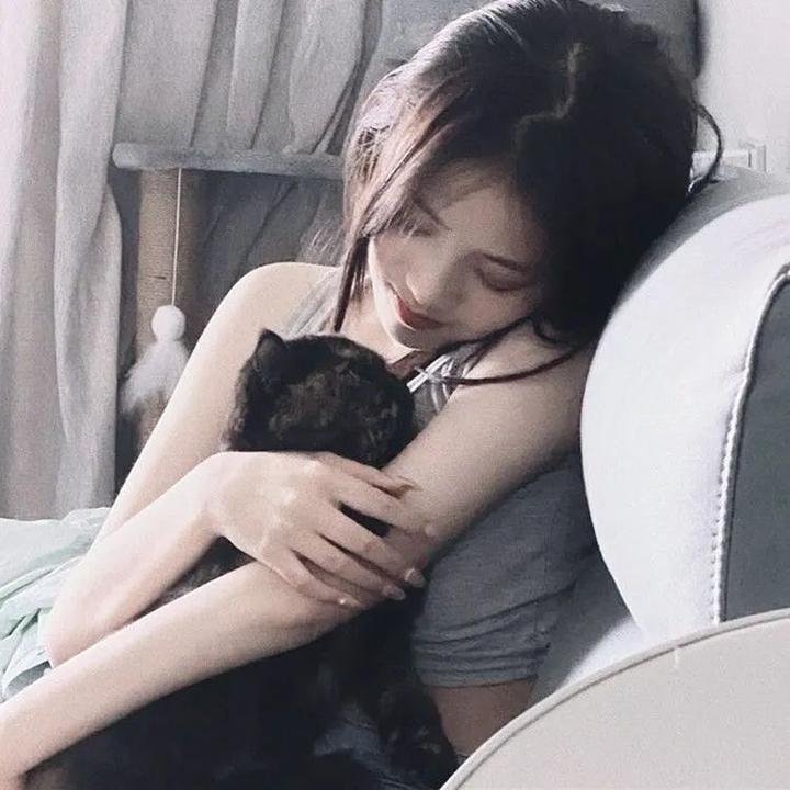 迪纳莫之梦第一季