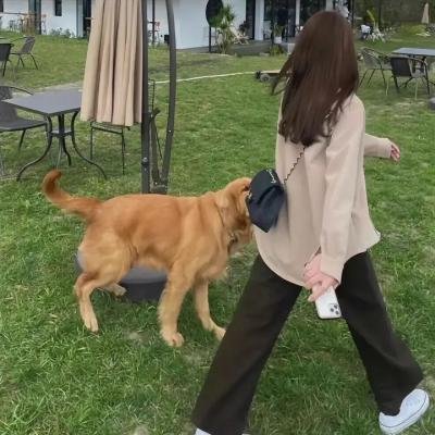 满目皆琳琅