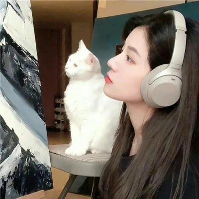 神探艳曲